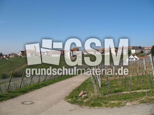 Weil am Rhein Ötlingen 009.jpg